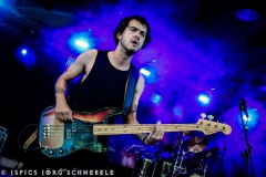 Velvet-Viper-2025-Sicking-174