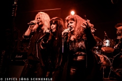 Velvet-Viper-2025-Dortmund-109