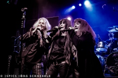 Velvet-Viper-2025-Dortmund-116