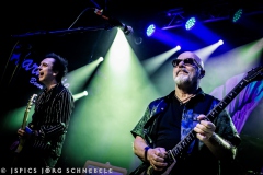 Wishbone-Ash-2025-Bonn-030