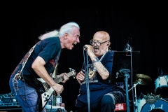 Zeltinger-2026-Wacken-57